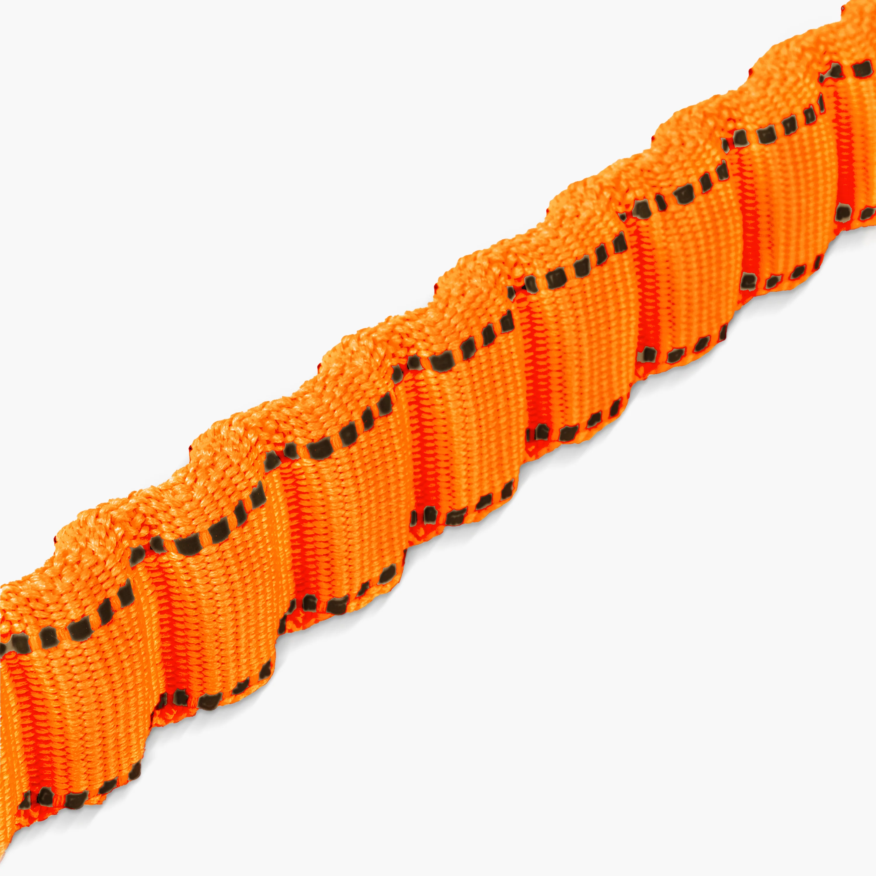 Bungee Dog Leash - Image 55