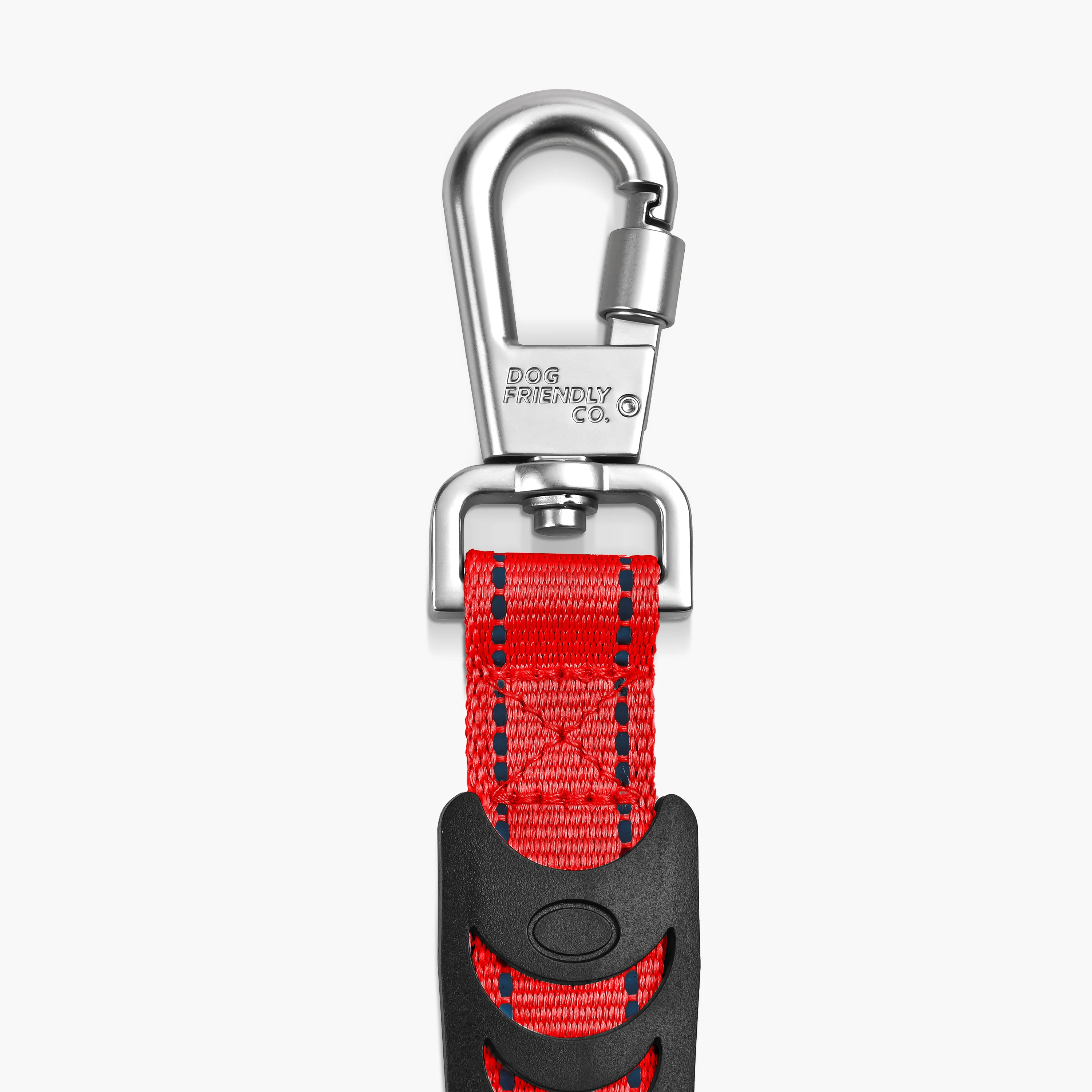 Bungee Dog Leash - Image 59
