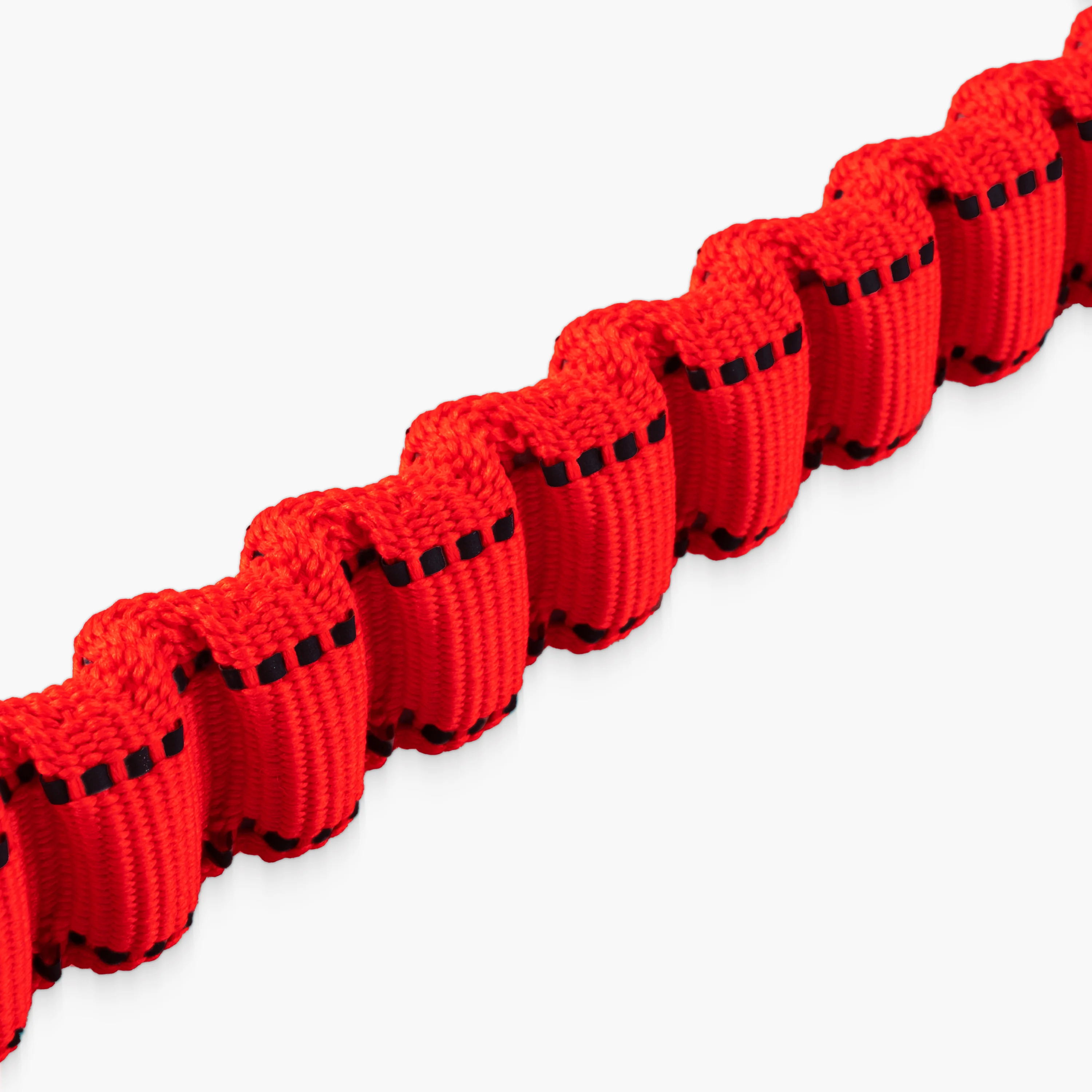 Bungee Dog Leash - Image 64