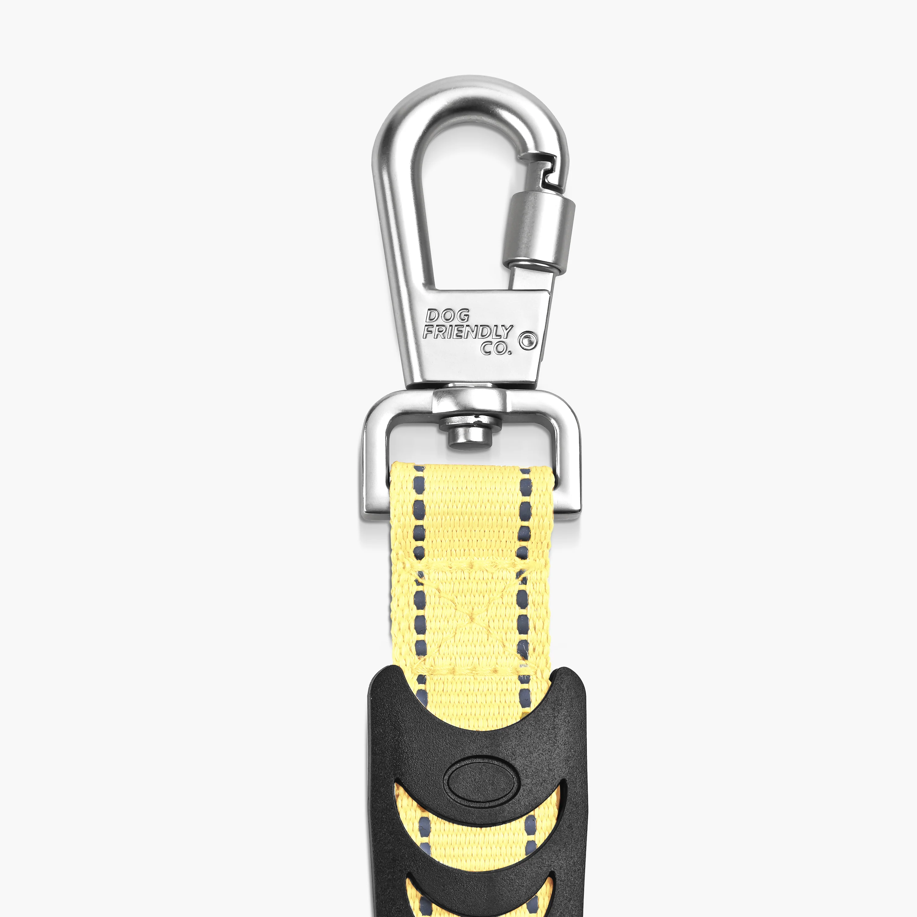 Bungee Dog Leash - Image 67