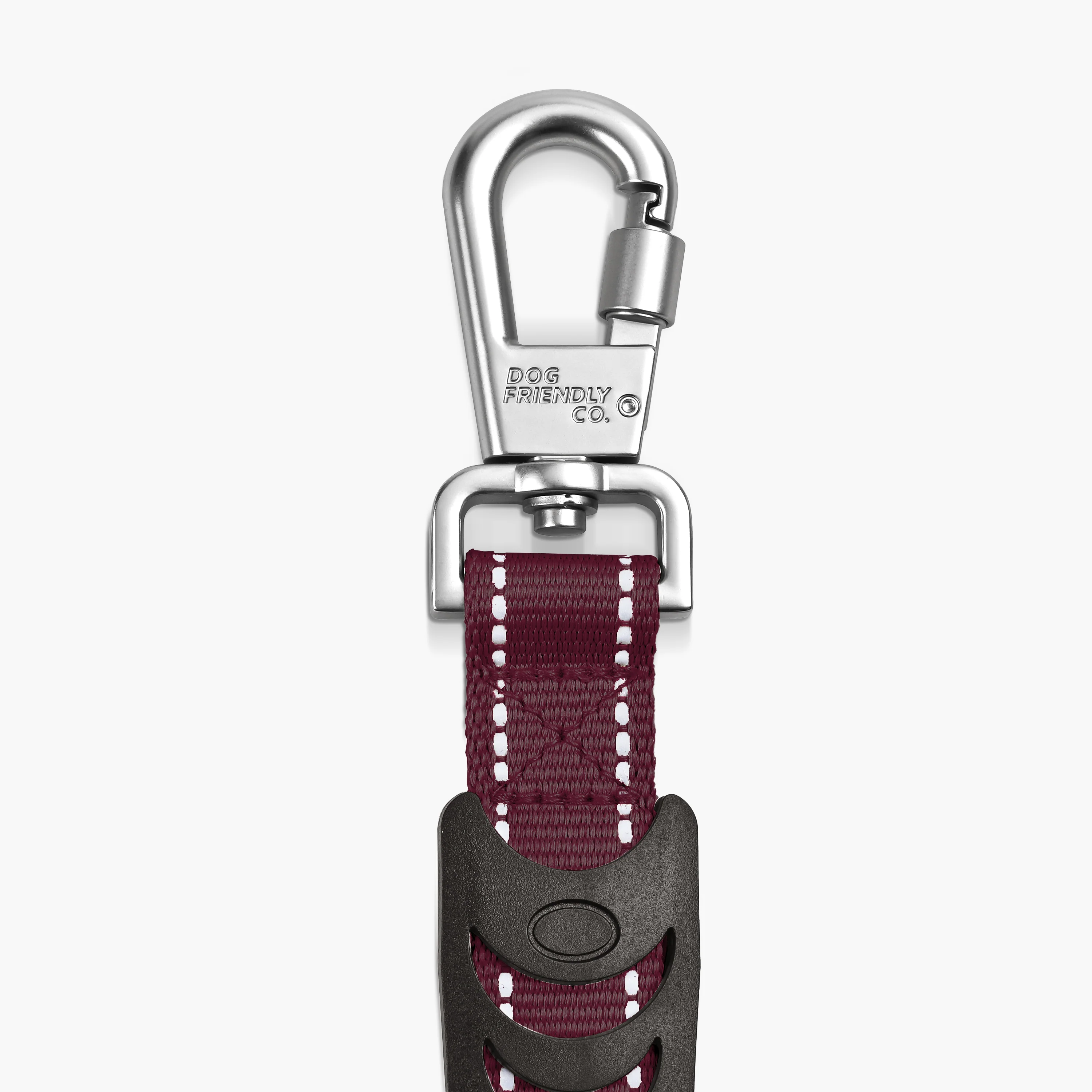 Bungee Dog Leash - Image 77