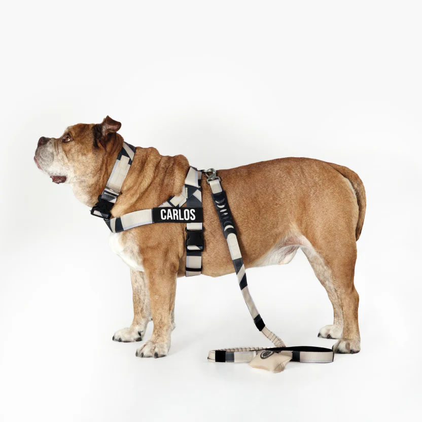 Tactical Dog Collar - Limited Edition Beige - Image 2