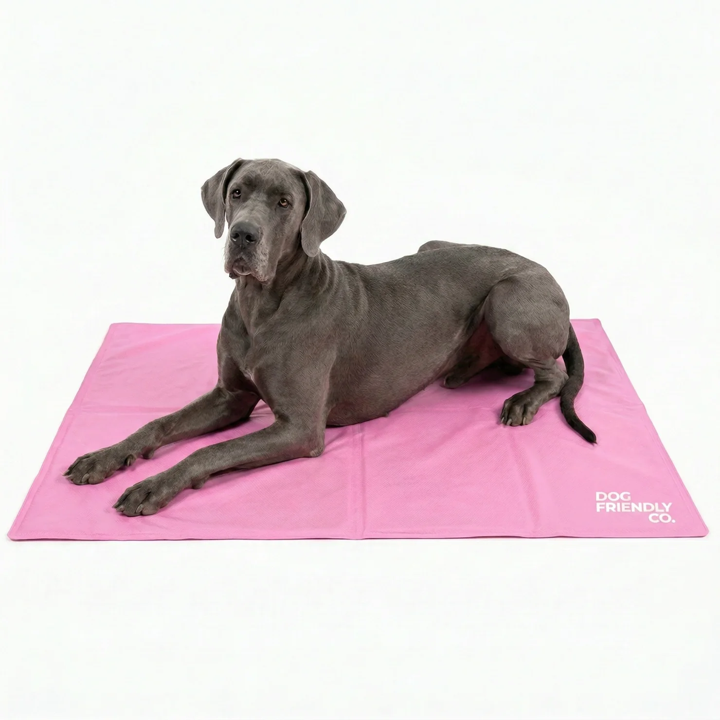 Dog Cooling Mat - Image 7