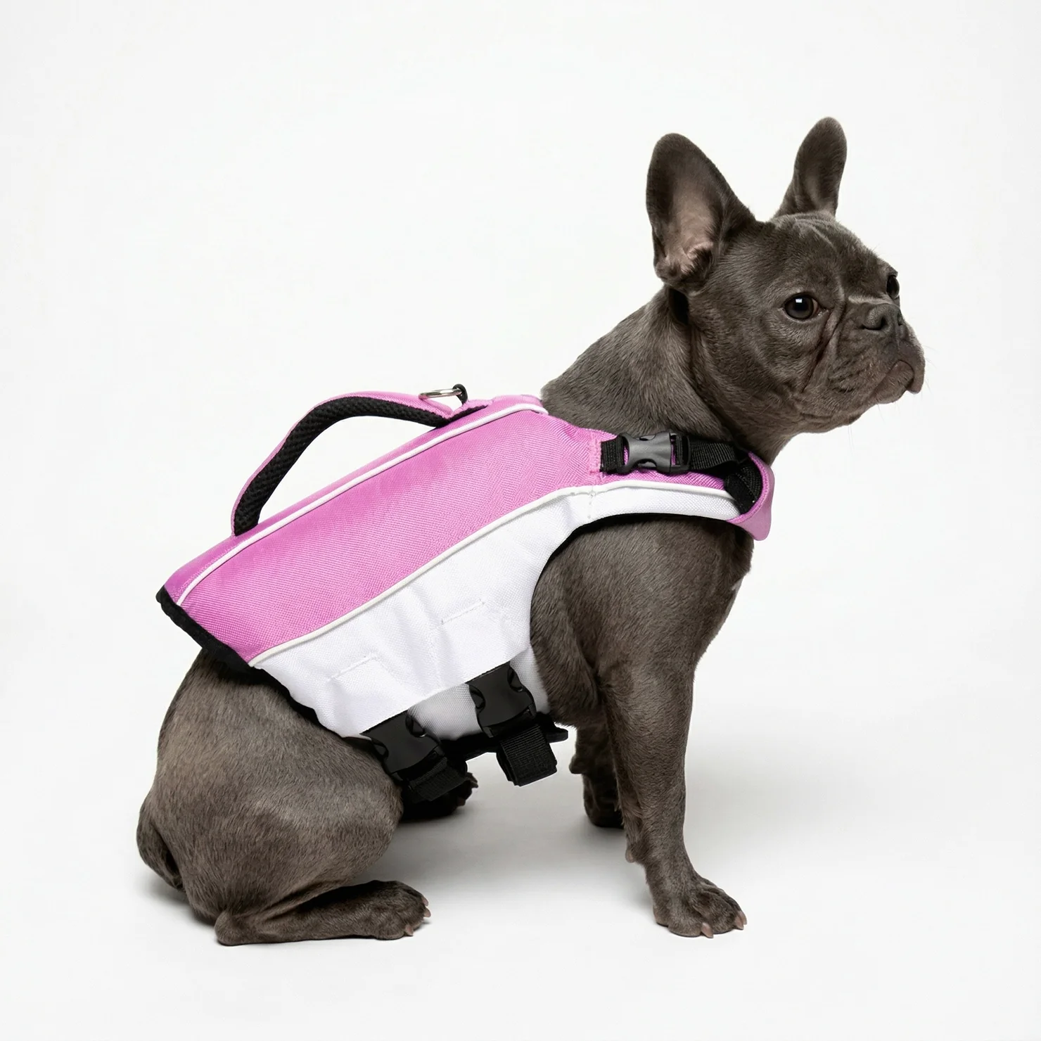 Dog Life Jacket - Image 14