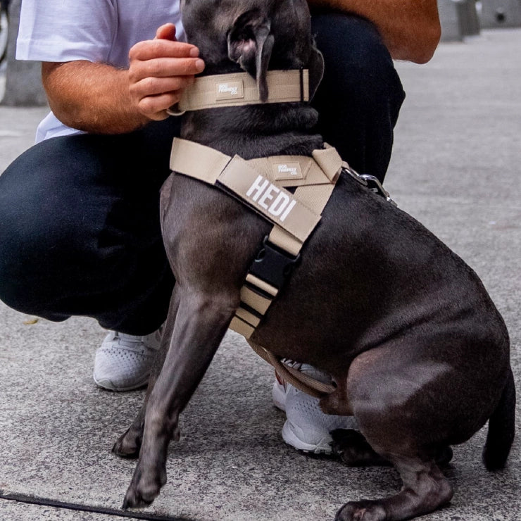 Personalised Dog Harness - Brown - Image 6