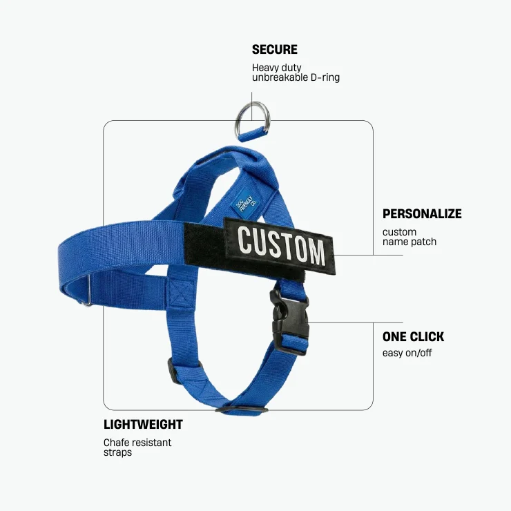 Personalised Dog Harness - Classic Blue - Image 2