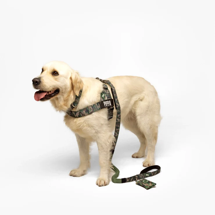 Personalised Dog Harness - Green Camo - Image 3