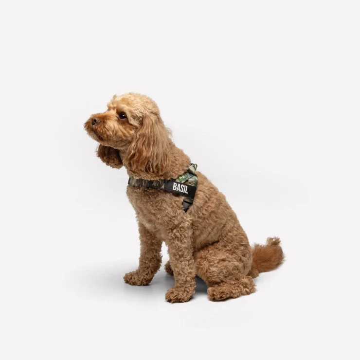 Personalised Dog Harness - Green Camo - Image 4