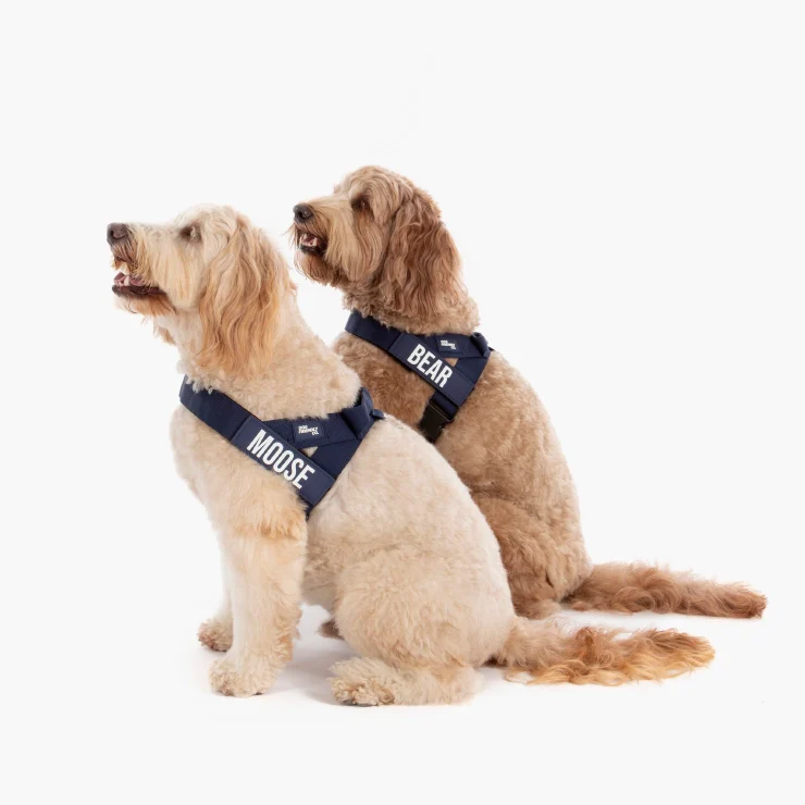 Personalised Dog Harness - Navy Blue - Image 3