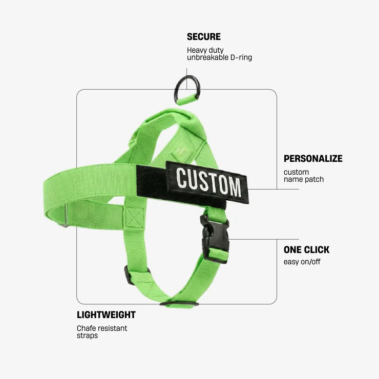 Personalised Dog Harness - Neon Green - Image 2