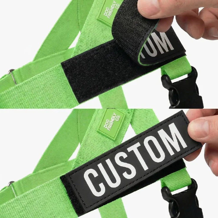 Personalised Dog Harness - Neon Green - Image 7