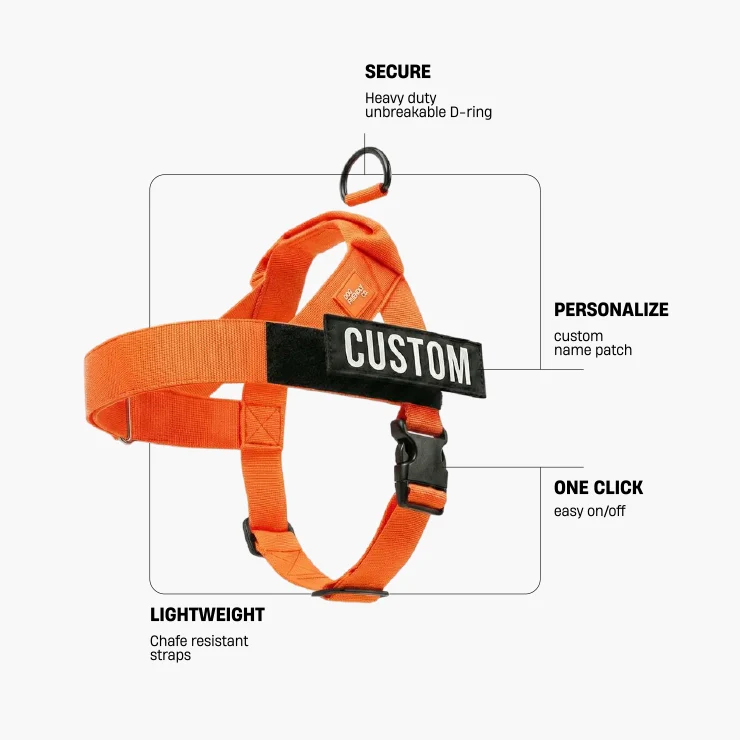 Personalised Dog Harness - Hi-vis Orange - Image 2