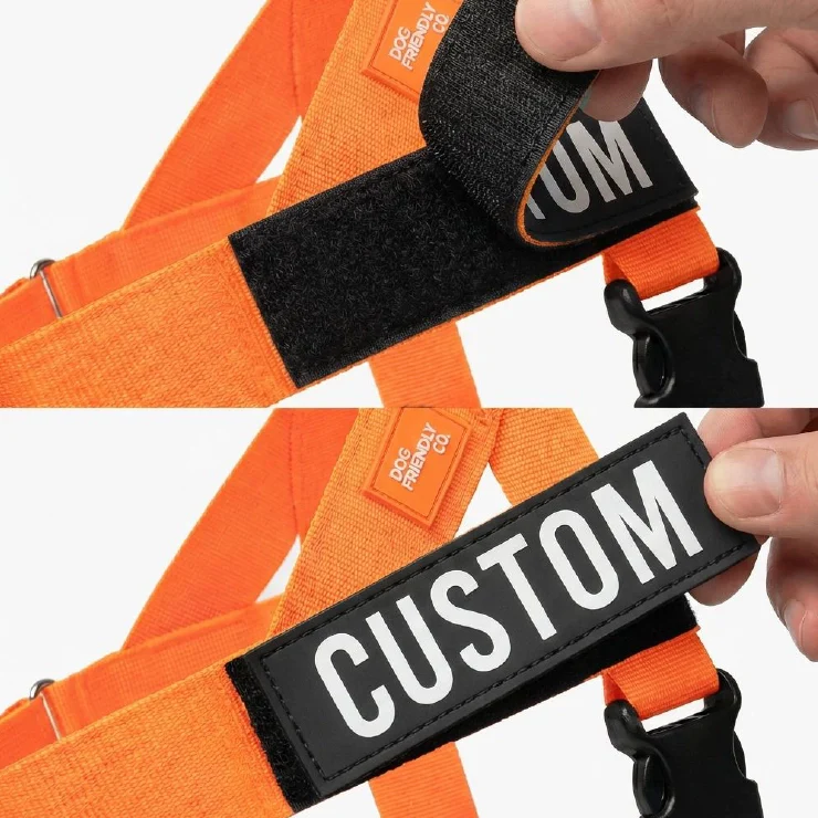 Personalised Dog Harness - Hi-vis Orange - Image 7