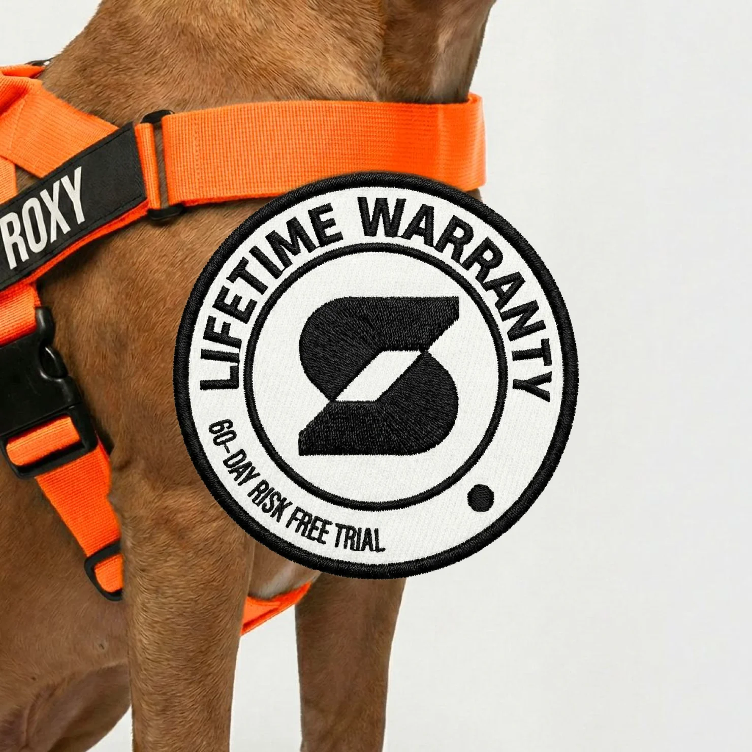 Personalised Dog Harness - Hi-vis Orange - Image 8