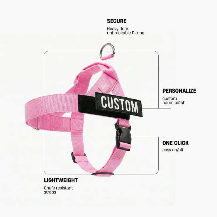 Personalised Dog Harness - Pink - Image 2