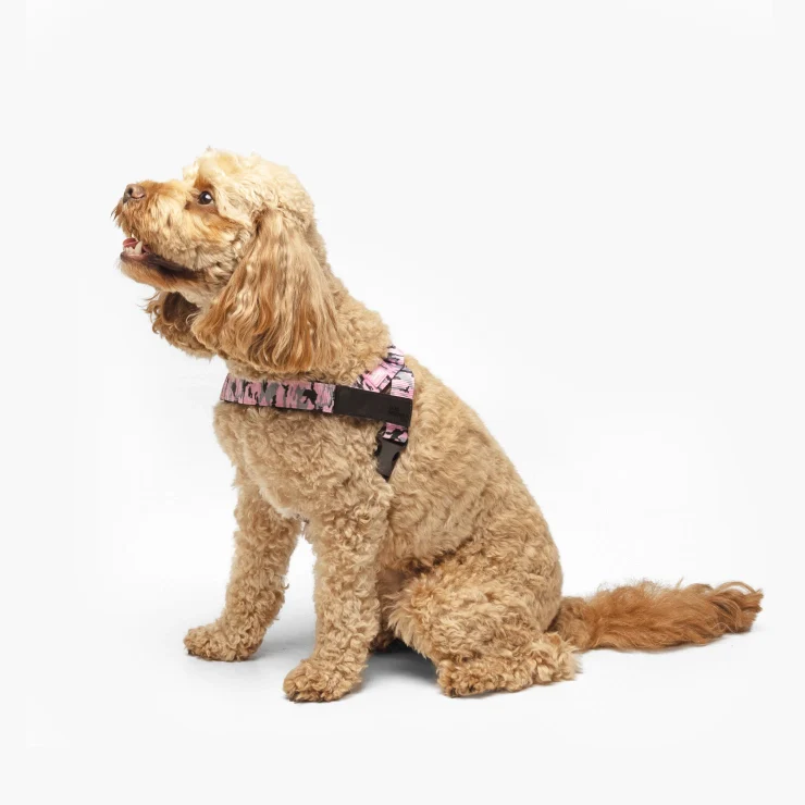 Personalised Dog Harness - Pink Camo - Image 3