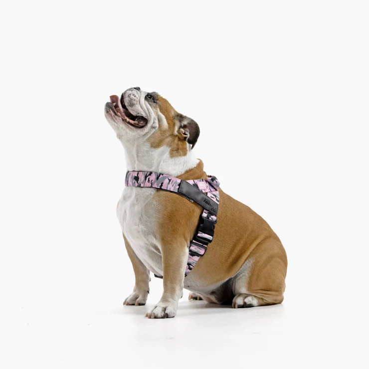 Personalised Dog Harness - Pink Camo - Image 4