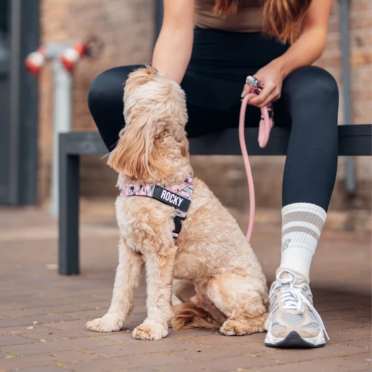 Personalised Dog Harness - Pink Camo - Image 5