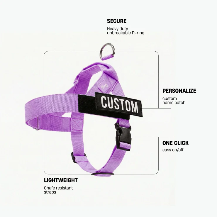Personalised Dog Harness - Purple - Image 2