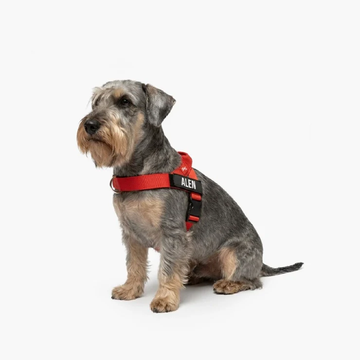 Personalised Dog Harness - Red - Image 4