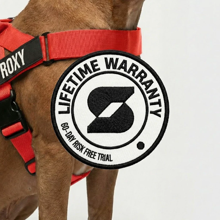 Personalised Dog Harness - Red - Image 8