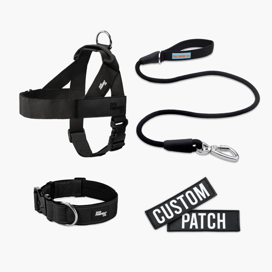 Dog Lovers Pack - Black - Image 15