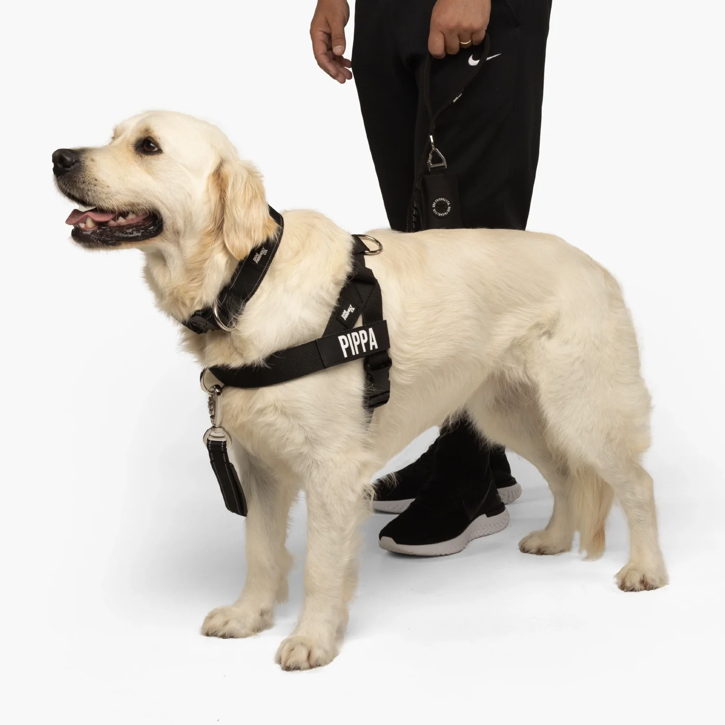 Dog Lovers Pack - Black - Image 4