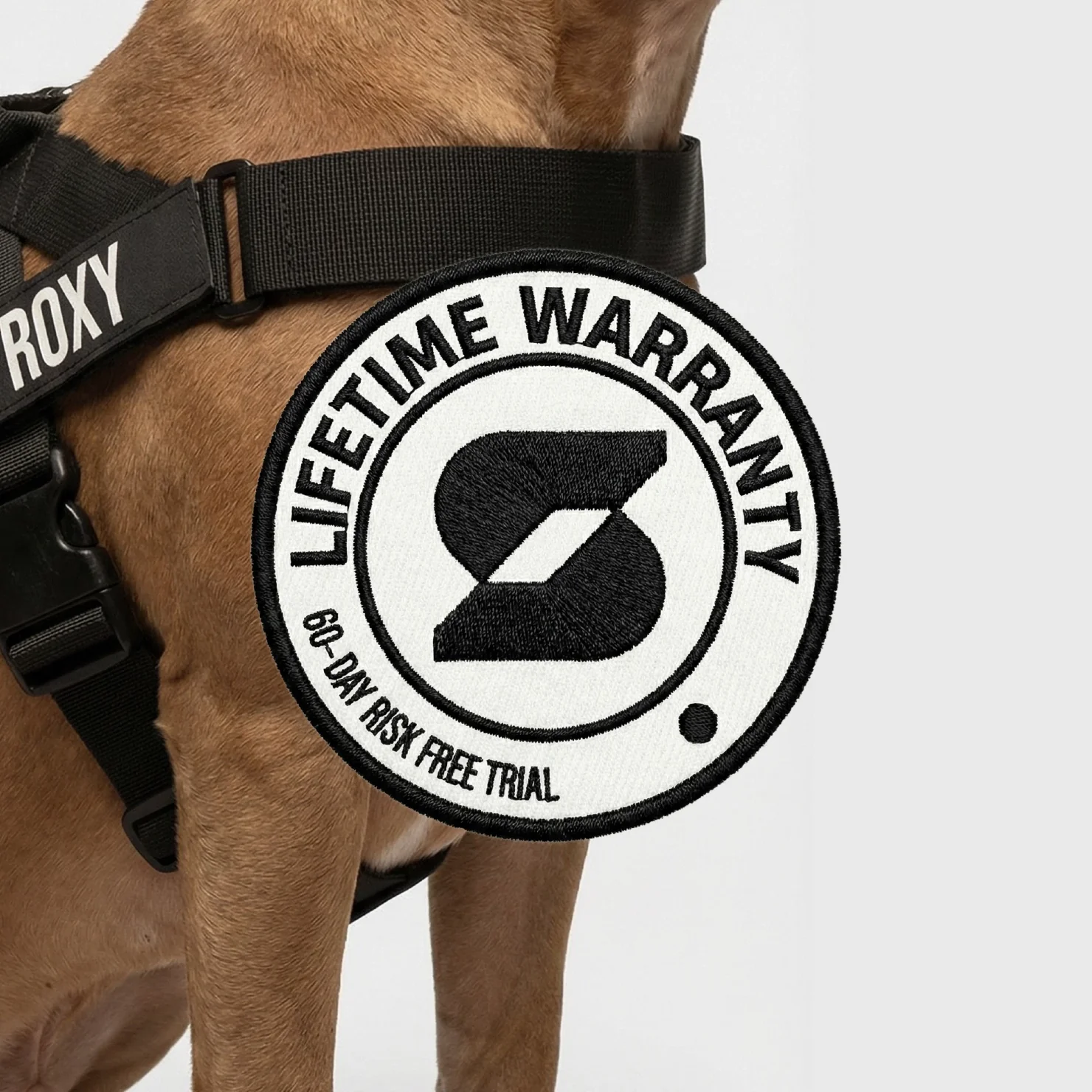 Dog Lovers Pack - Black - Image 9