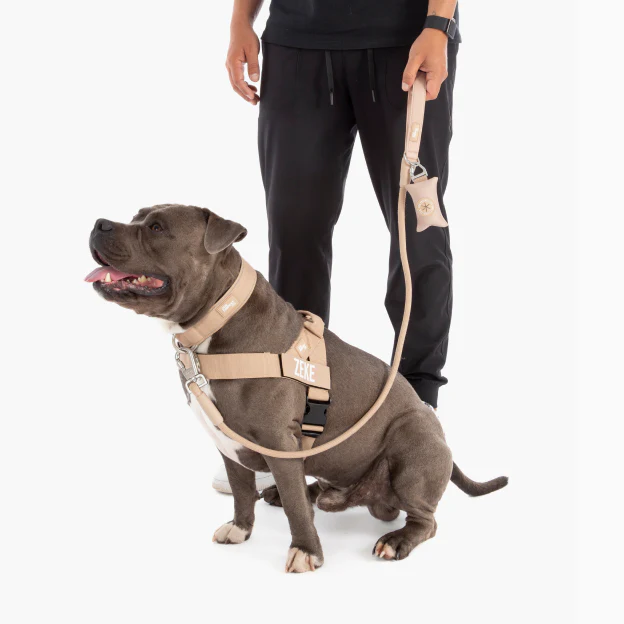 Dog Lovers Pack - Brown - Image 19