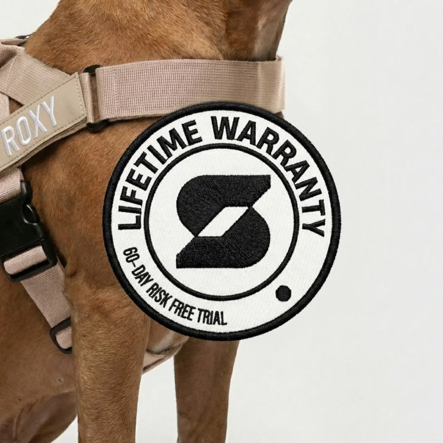Dog Lovers Pack - Brown - Image 9