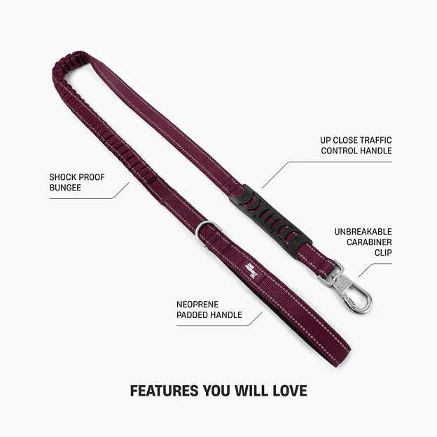 Dog Lovers Pack - Burgundy - Image 16