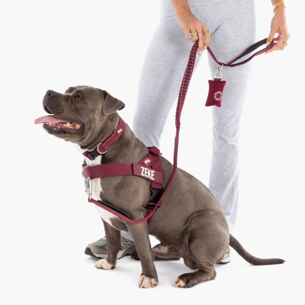 Dog Lovers Pack - Burgundy - Image 20