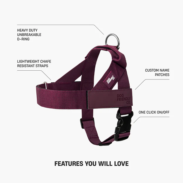 Dog Lovers Pack - Burgundy - Image 21