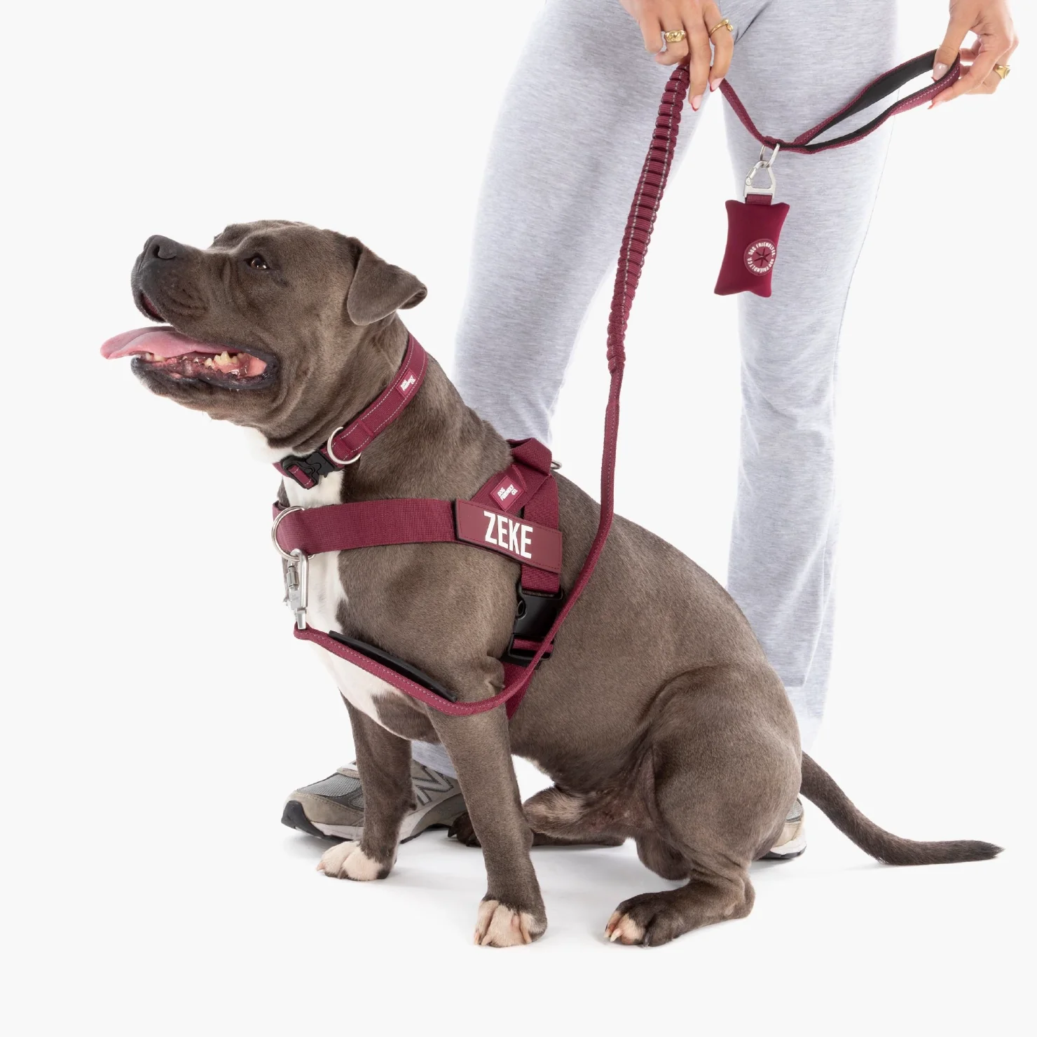 Dog Lovers Pack - Burgundy - Image 4