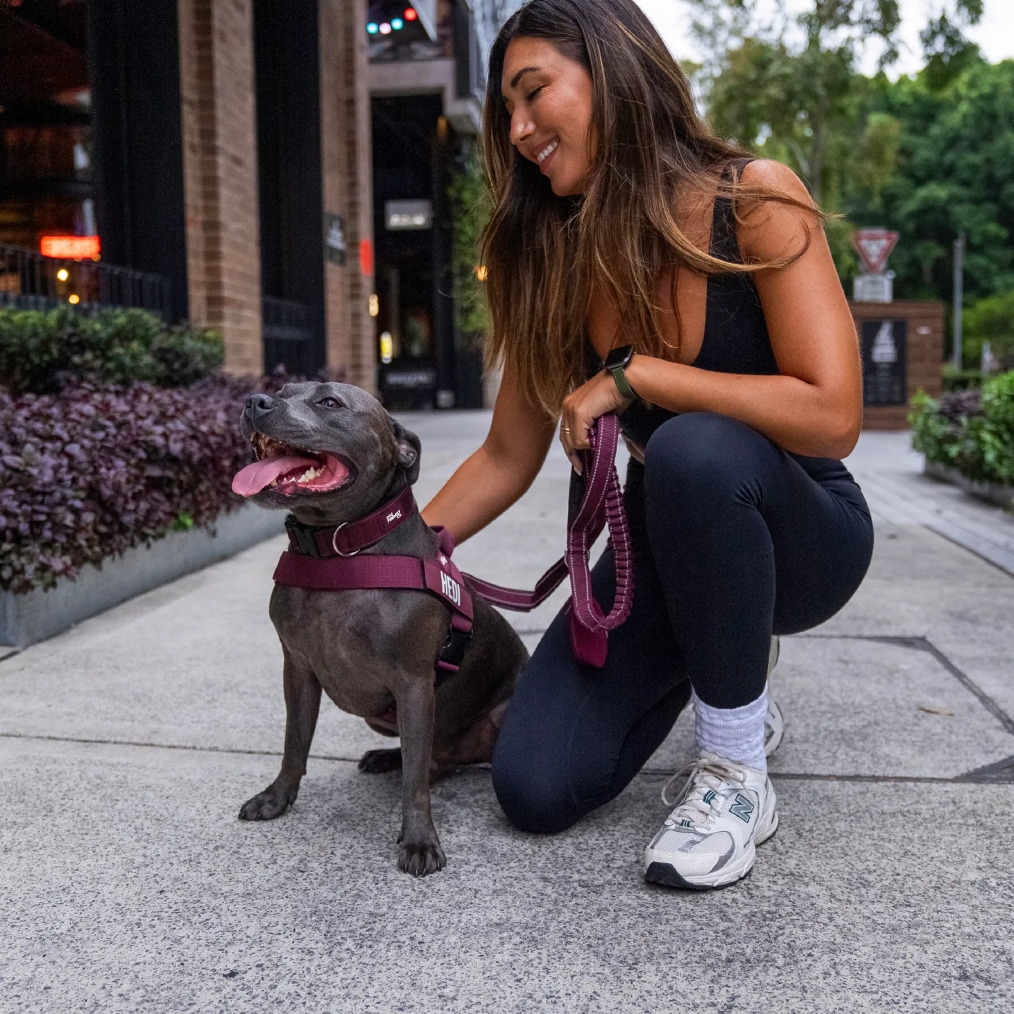 Dog Lovers Pack - Burgundy - Image 6
