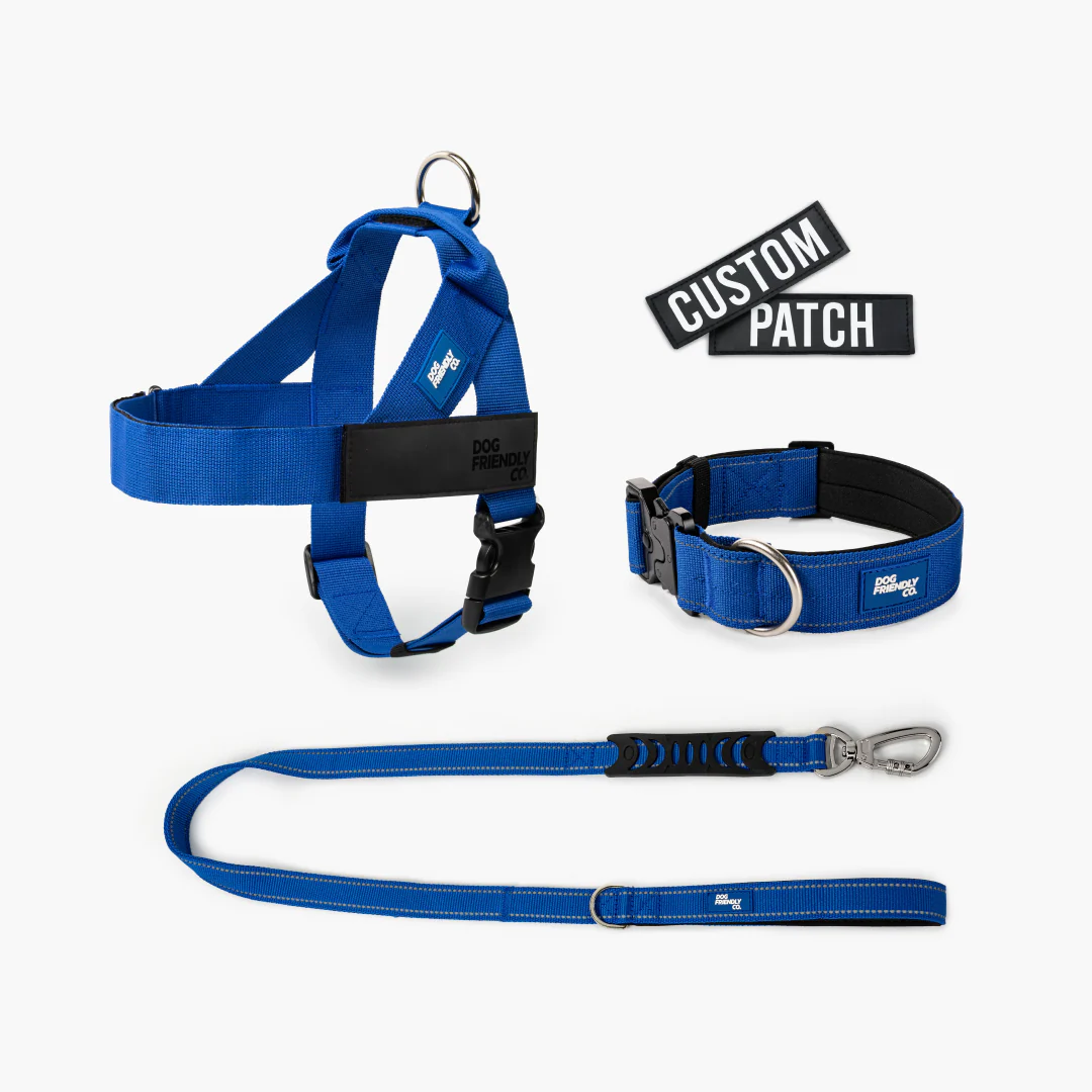 Dog Lovers Pack - Classic Blue - Image 7