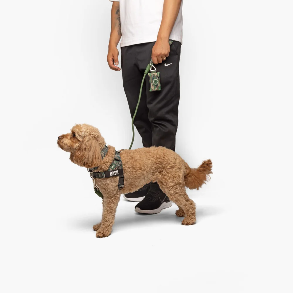 Dog Lovers Pack - Green Camo - Image 11