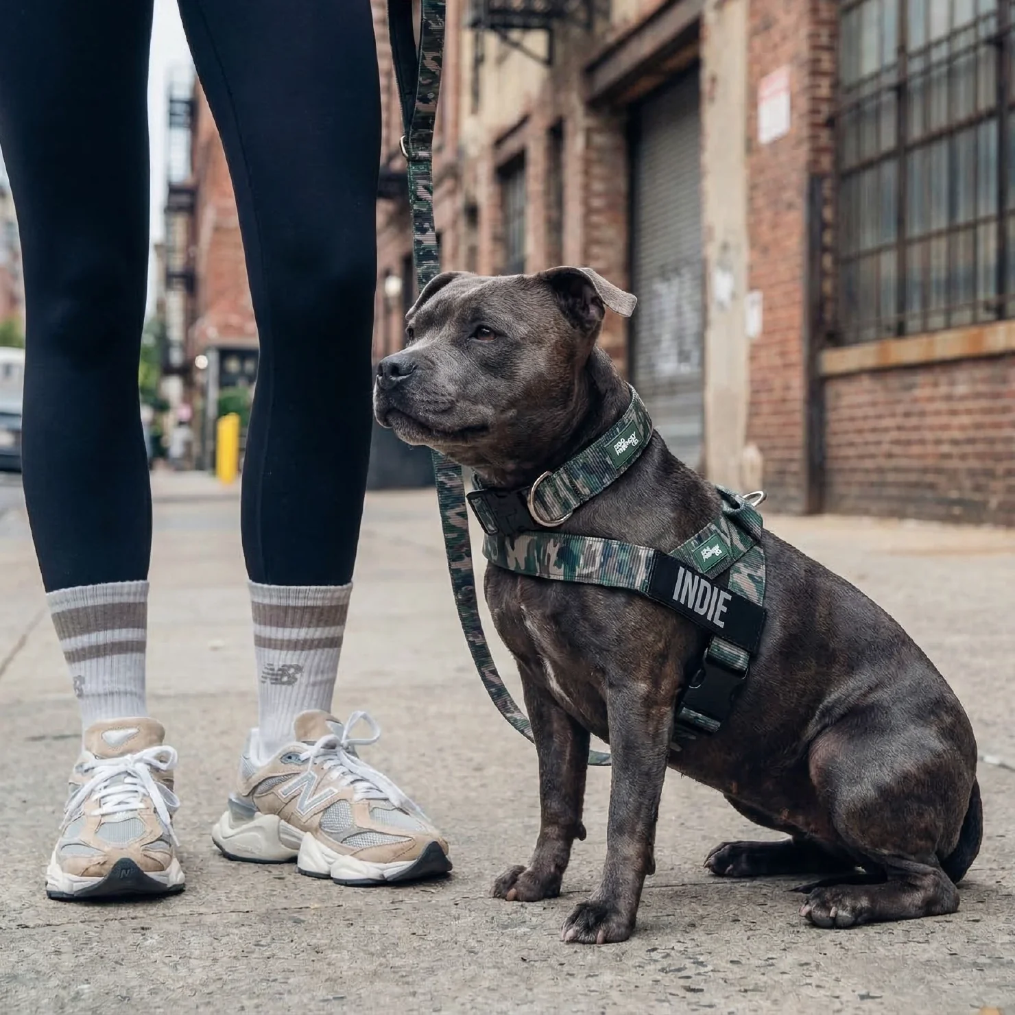 Dog Lovers Pack - Green Camo - Image 6