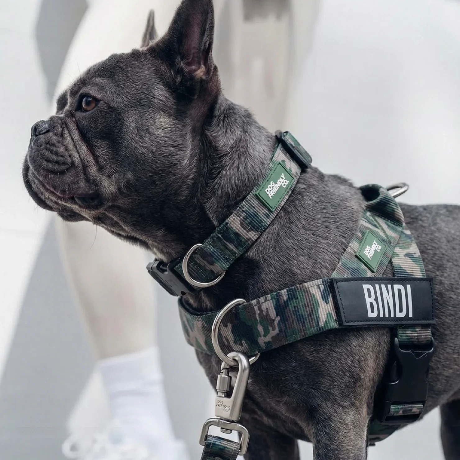 Dog Lovers Pack - Green Camo - Image 7