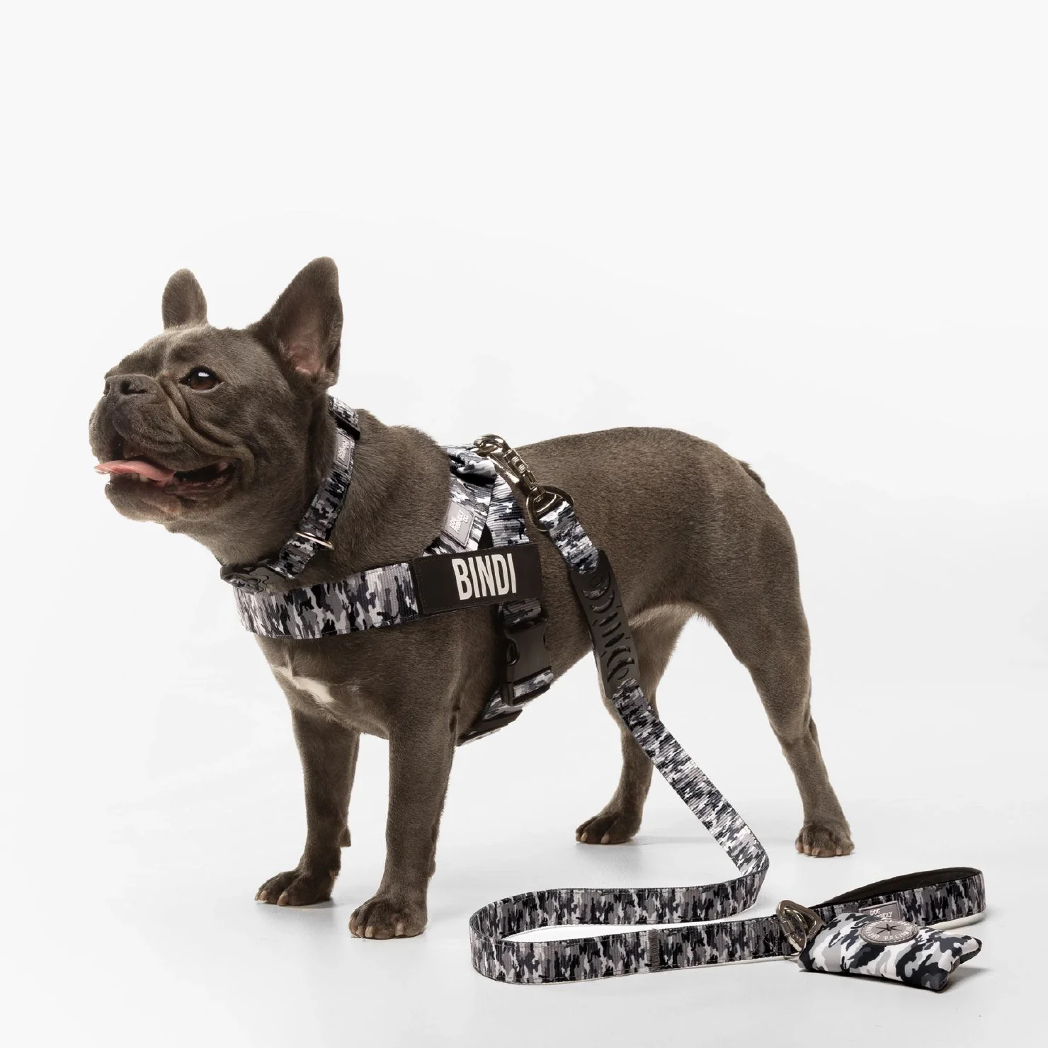 Dog Lovers Pack - Grey Camo - Image 5