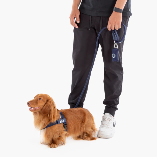 Dog Lovers Pack - Navy Blue - Image 19