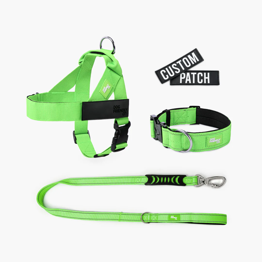 Dog Lovers Pack - Neon Green - Image 10
