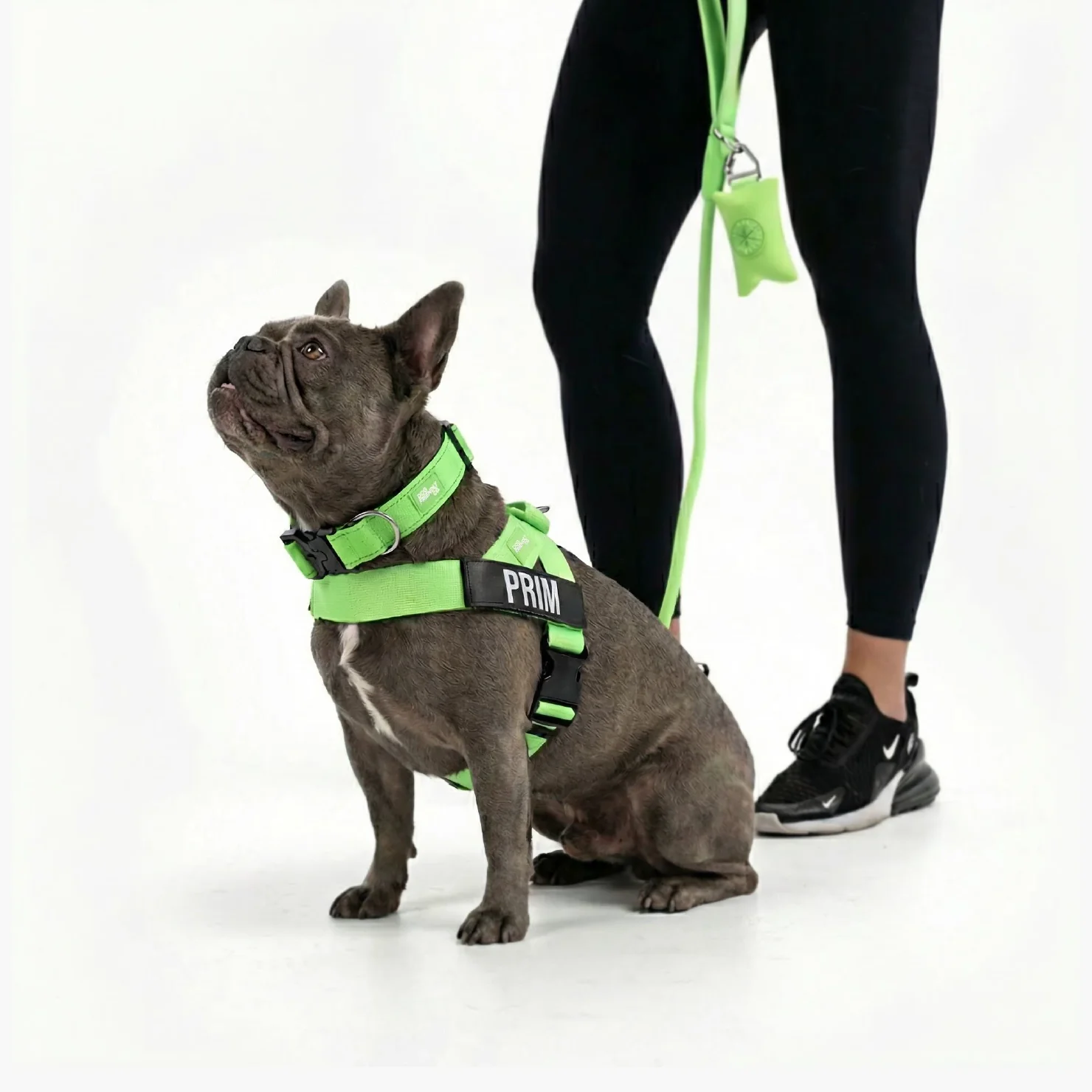 Dog Lovers Pack - Neon Green - Image 5