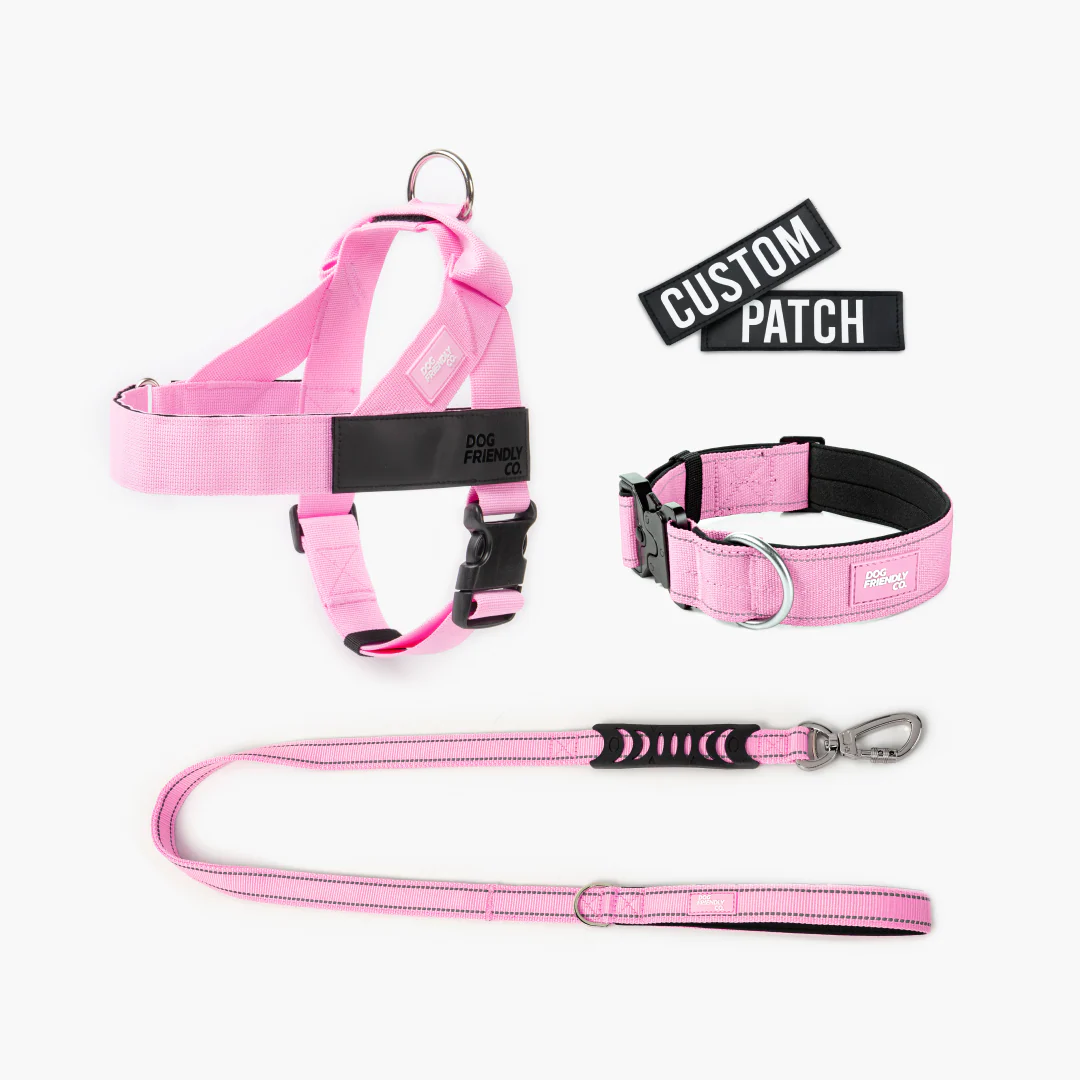 Dog Lovers Pack - Pink - Image 10