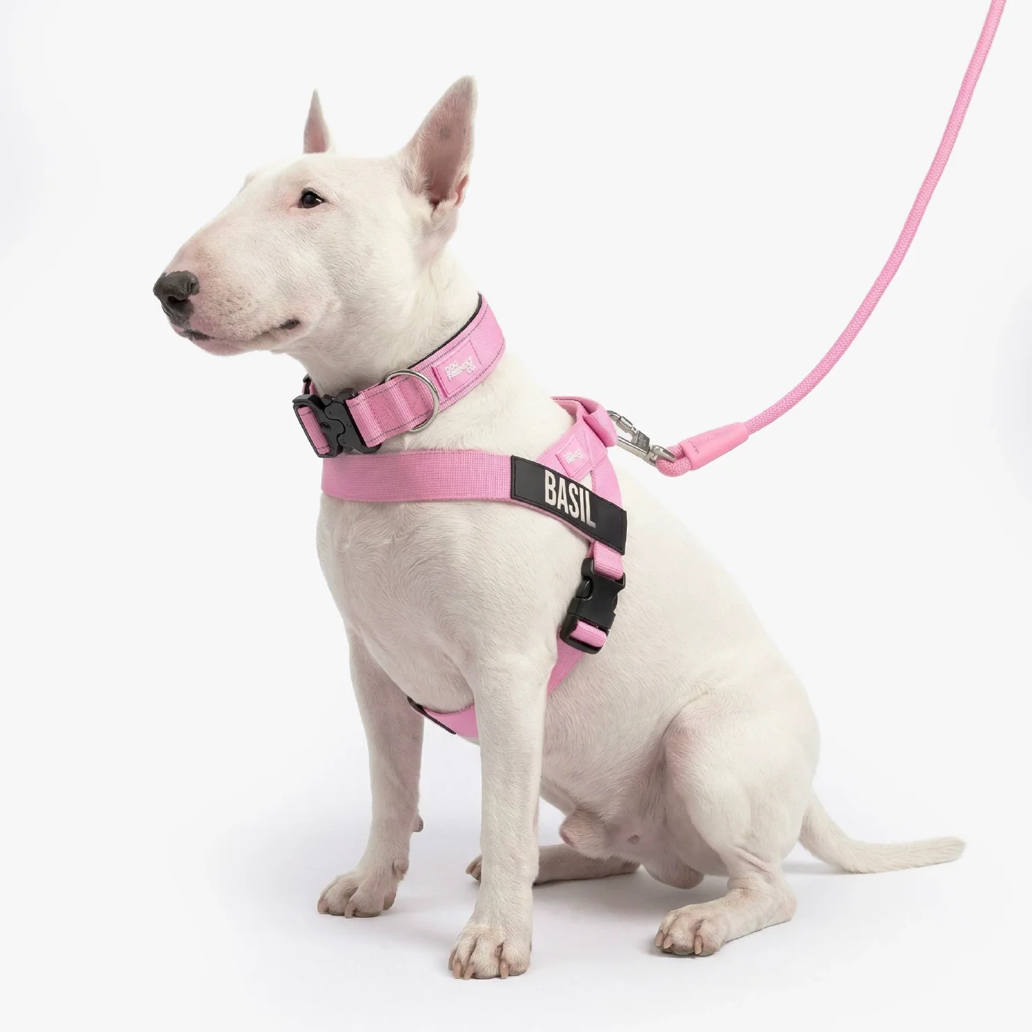 Dog Lovers Pack - Pink - Image 4