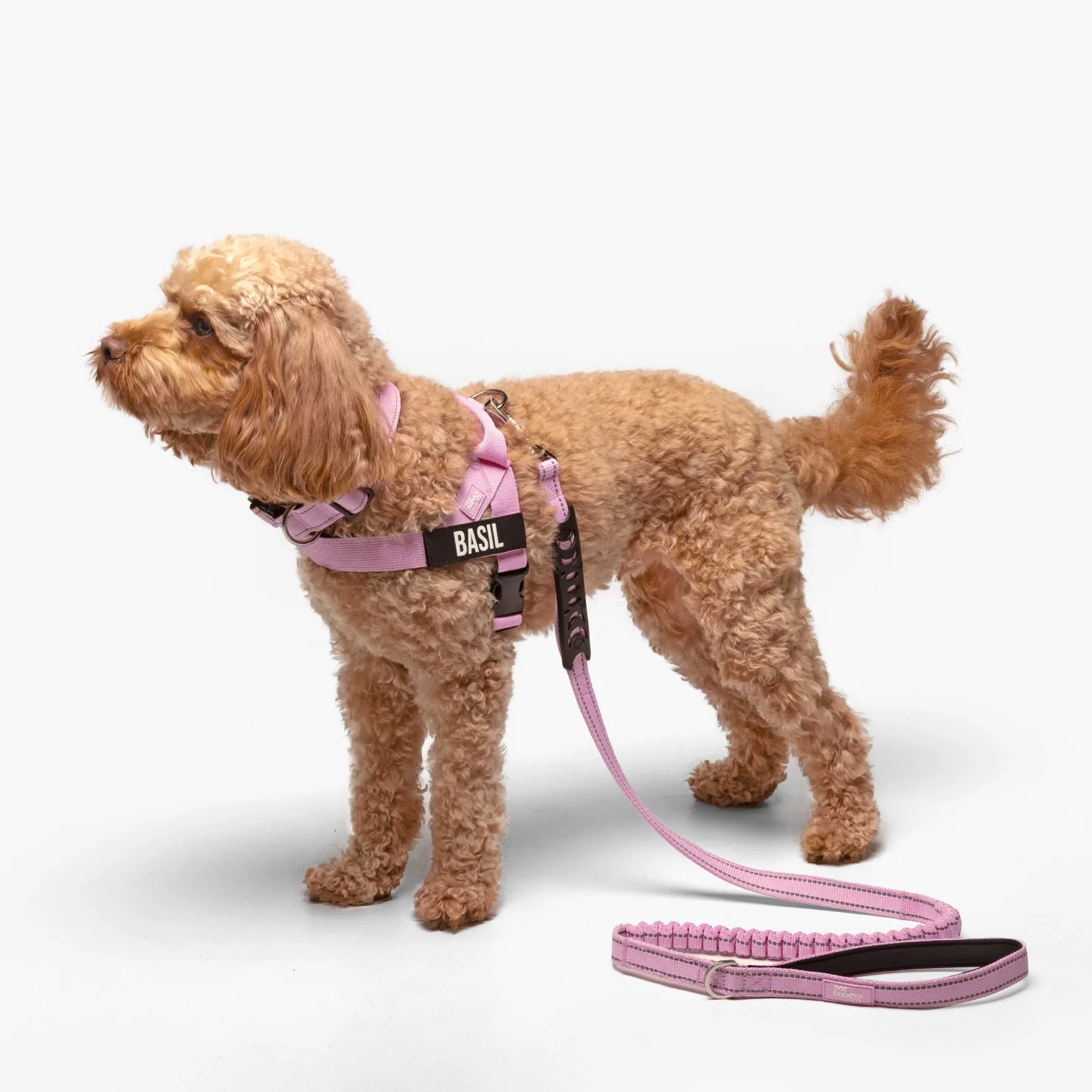 Dog Lovers Pack - Pink - Image 5