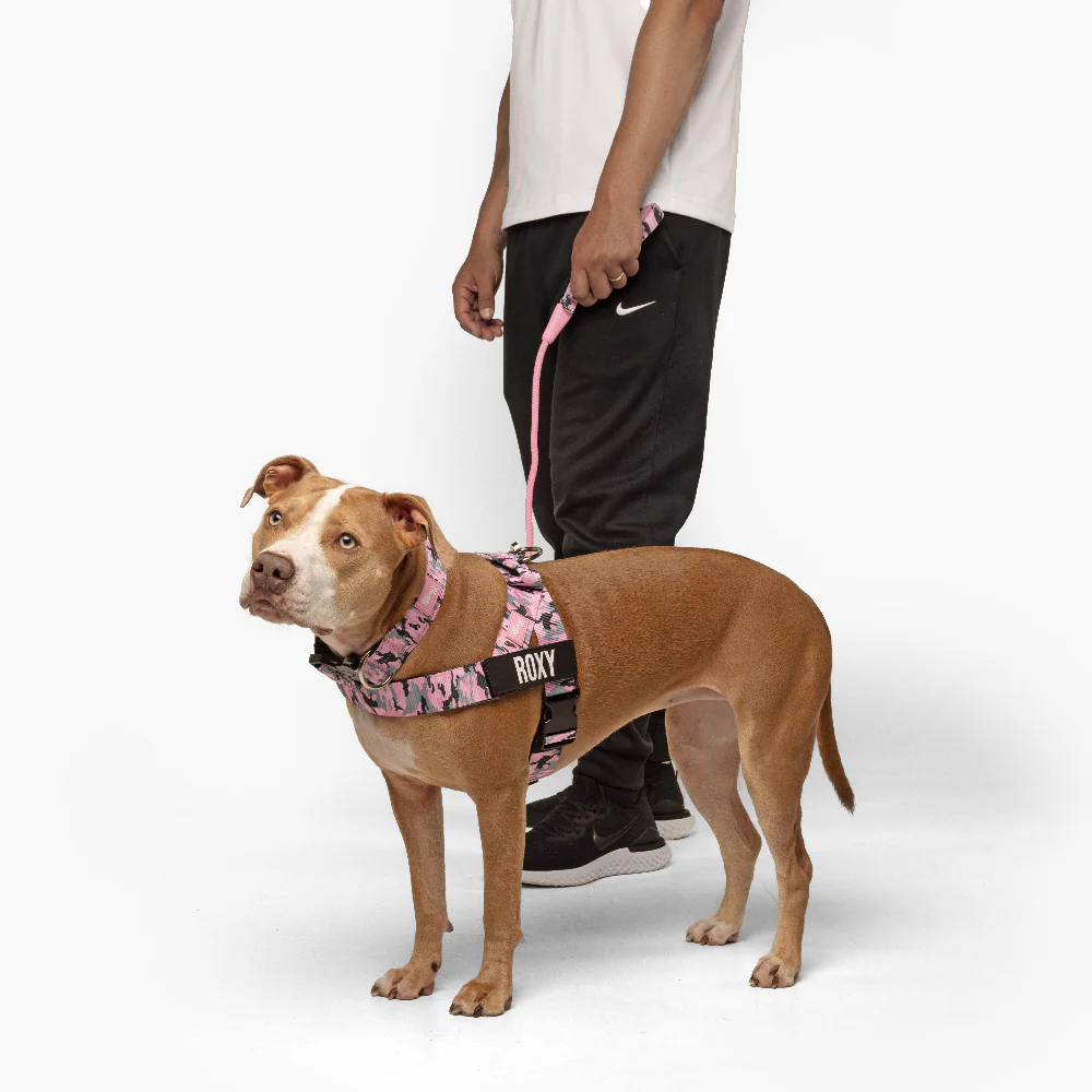 Dog Lovers Pack - Pink Camo - Image 11