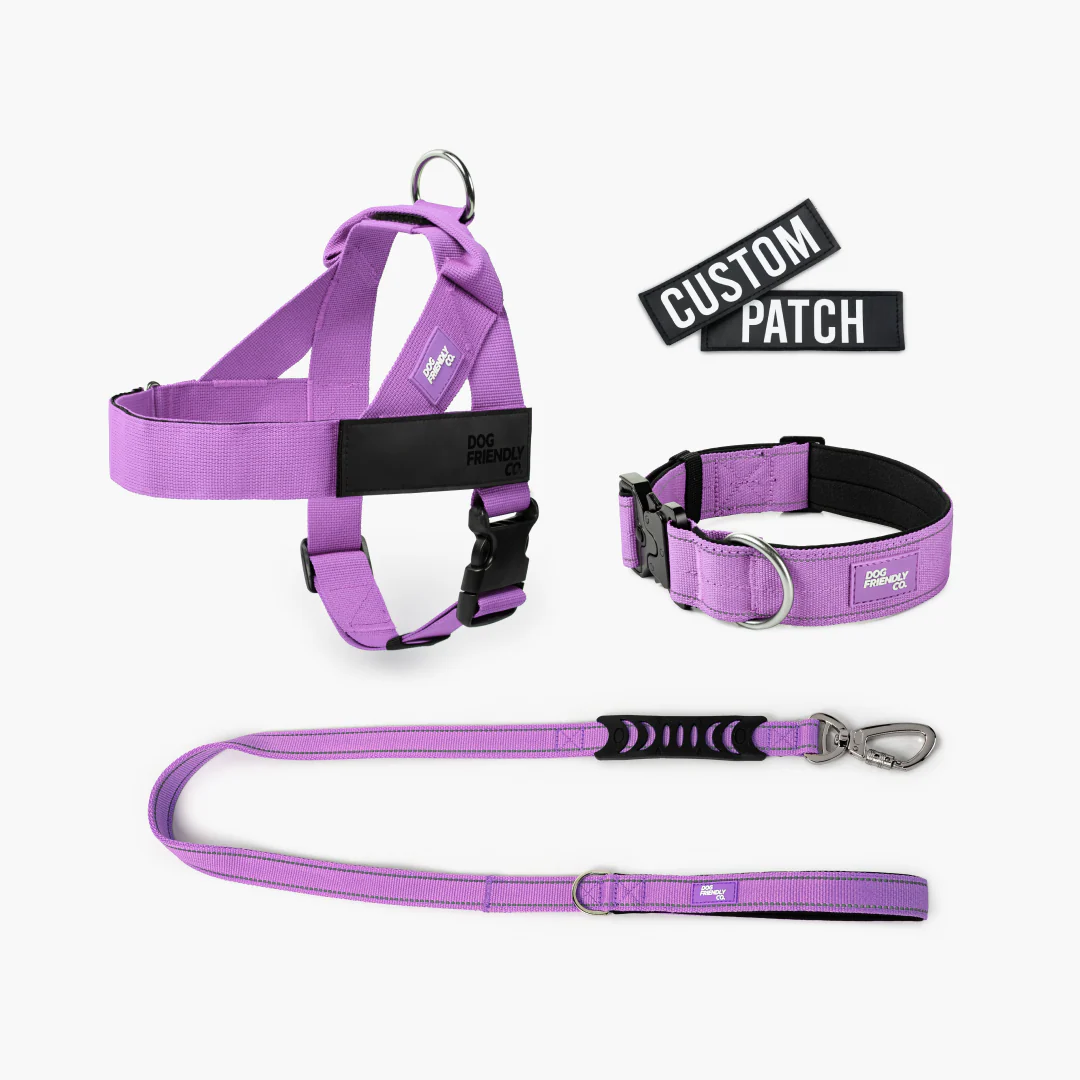 Dog Lovers Pack - Purple - Image 10