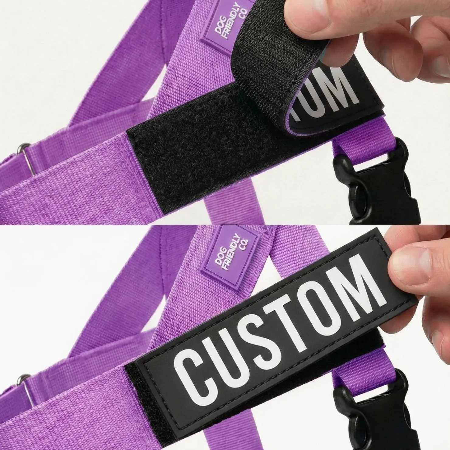 Dog Lovers Pack - Purple - Image 3