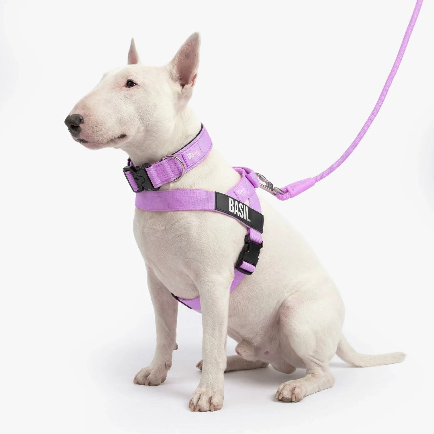 Dog Lovers Pack - Purple - Image 4
